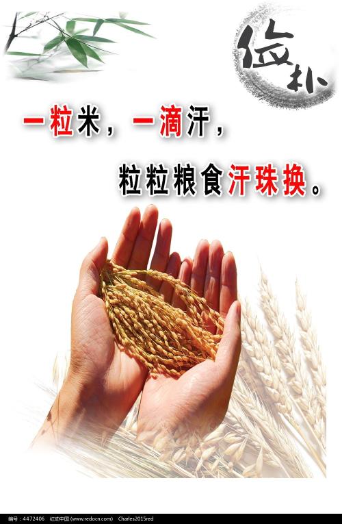 厦门六中高中毕业证